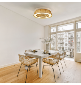 Ventilador de techo led Mantra Indonesia regulable