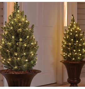 Guirnalda led de alambre 4,9m con pilas cálida