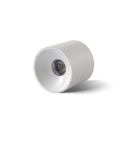 Plafón de techo led CCT (3000K, 4000K, 6000K) 10W blanco