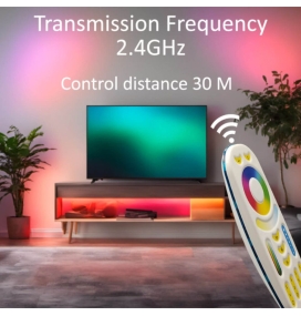 Mando control RF tiras led RGB, RGBW y RGBCCT 4 ZONAS