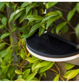 Aplique led solar Lutec Vyzor con sensor de movimiento gris oscuro 7W 4000K