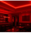 Tira led COB 230V 20W/m 100Lm/w luz Roja CRI80 IP68 ancho 1cm corte 5cm (precio por metro)