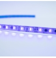 Tira led RGB 220V 14W 490Lm/m IP65 ancho 10mm corte 10cm
