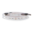 Tira led RGB+W(3000K) 24V SMD 14W/m 960Lm/m IP20 5M