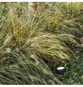 Aplique DENVER 12W IP67 para el suelo de Lutec.