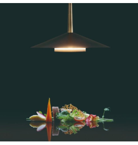 Lámpara de techo led Mantra Orion 7305 8W negra/cuero