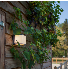 Aplique led de pared Lutec Doblo 19W. Tono de luz cálido o natural