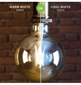 Bombilla led vintage inteligente Lutec G125 E27 7,7W